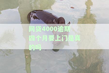 网贷四千逾期会上门要吗，网贷逾期4000元，真的会有人上门催收吗？