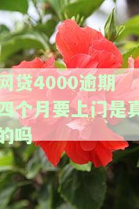网贷逾期4000块会被起诉吗，逾期4000块网贷是否会被起诉？你需要知道的一切