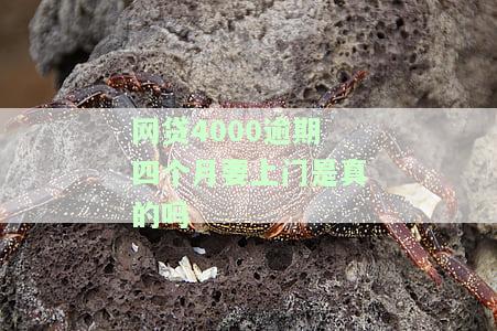 网贷4000逾期四个月要上门是真的吗-网贷4000逾期四个月要上门是真的吗吗