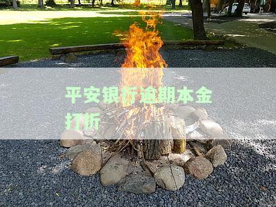 平安银行逾期本金打折-平安银行逾期本金打折怎么算