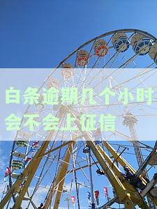 白条逾期多长时间会全额还款？逾期多久会被全额还款、关闭或失信？需要一次性还清吗？