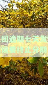 美团金融逾期3天发信息取消分期还款冻结金额结清：全攻略