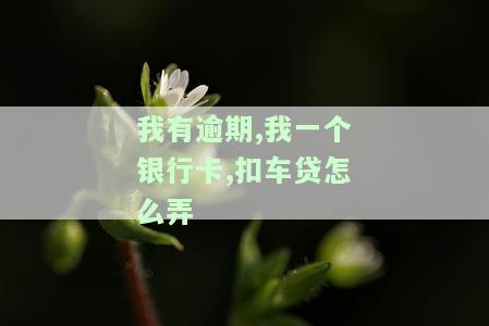 银行卡还车贷逾期一天有什么关系？车贷因银行卡问题逾期两天会有何影响？逾期几天后如何处理？车贷卡逾期一天会产生什么后果？车贷逾期后银行卡是否仍会自动扣款？