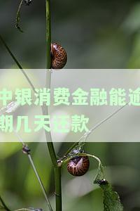 中银消费金融逾期了怎么办，如何解决中银消费金融逾期问题？