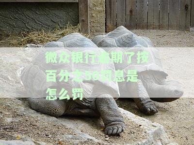 微众银行50%罚息，警惕！微众银行逾期将面临高达50%的罚息惩罚