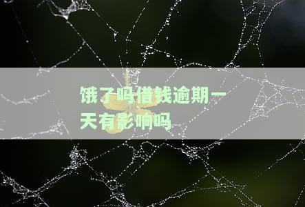 饿了吗借钱逾期一天有影响吗？安全性与征信问题解析