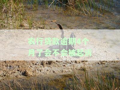 农行贷款逾期几天，农行贷款：逾期几天会有什么后果？