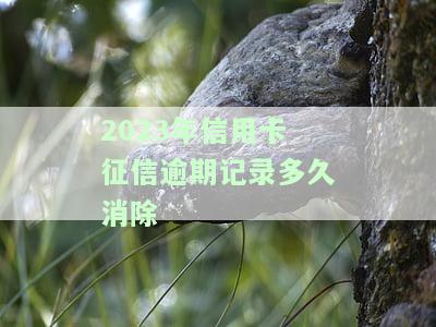 2023年信用卡征信逾期记录多久消除？如何查询及影响？