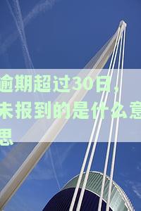 逾期30天的含义及影响：解释与应对措