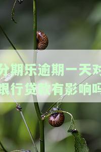 分期乐逾期一天影响征信吗，【热点关注】分期乐逾期一天是否会影响个人征信记录？