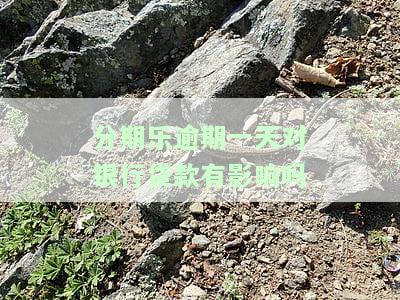分期乐逾期一天后还款还能继续借款吗，关于分期乐逾期一天后的还款及能否再次借款的解答