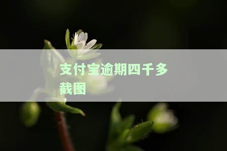 支付宝逾期五百多截图是否真实？欠款5000会被起诉吗？高清图片展示逾期情况