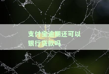 支付宝逾期了可以货款吗，逾期还款会影响贷款吗？——探讨支付宝逾期后的信用影响