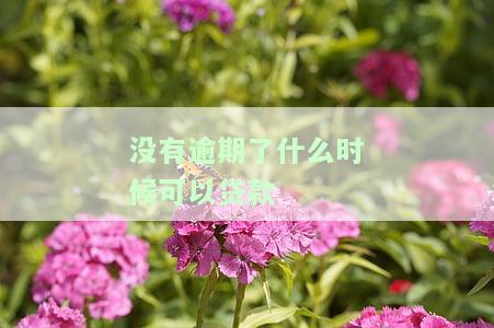 没有逾期能贷款吗，如何申请贷款：逾期记录不影响的可能性