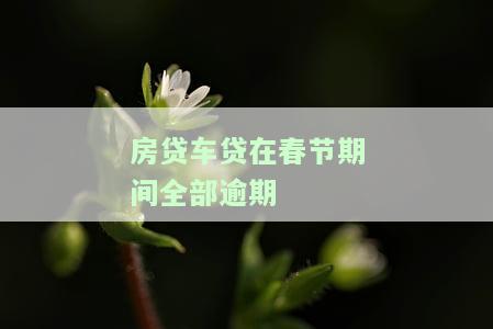 房贷车贷在春节期间全部逾期会产生什么影响？春节假期会扣款吗？逾期几天会上征信？车辆会被拖走吗？