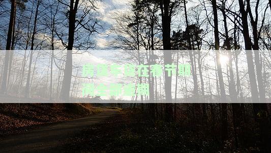 过年期间车贷逾期，过年期间车贷逾期怎么办？你需要知道的几件事！