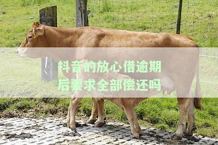 抖音里面放心借逾期会怎么样，深入了解抖音放心借逾期后果，你不可不知的真相！