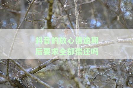 抖音的放心借逾期后要求全部偿还吗-抖音里面放心借逾期会怎么样
