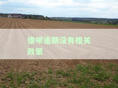 借呗逾期没有相关政策-借呗逾期没有相关政策怎么办