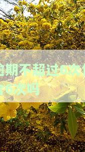 逾期不超过6次包含6次吗为什么，逾期不超过6次，是否包含6次？原因解析