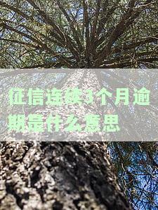 征信连续3个月逾期怎么办？影响及解决方法全解析