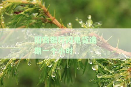 招商银行闪电贷逾期一个小时有影响吗？逾期时间长短与后果的关系