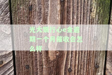 光大银行心e金逾期一天会上征信吗，关于光大银行心E金逾期一天是否会影响个人信用记录的解答