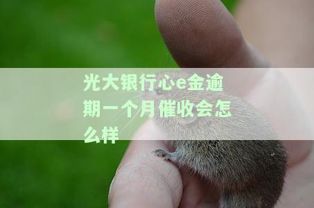 光大银行心e金逾期后还款，还能继续使用吗？逾期是否有影响？会否上征信？罚息高需不需要偿还？