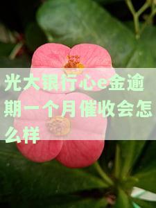 光大银行心e金逾期一个月催收会怎么样-光大银行心e金逾期一个月催收会怎么样