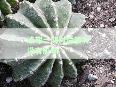 逾期一期是多久，了解贷款逾期：一期是指多长时间？