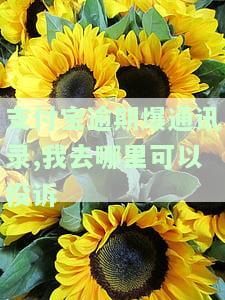 支付宝逾期爆通讯录怎么投诉？有效解决方法及法律途径解析