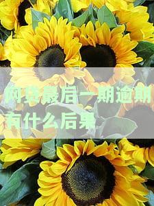 网贷最后一期逾期有什么后果吗，逾期还款的最后一期网贷：可能会产生的严重后果