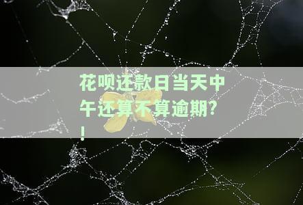 花呗还款是当天中午12点吗，揭秘花呗还款时间：真的是每天中午12点吗？