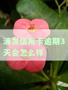 浦发信用卡逾期3天会怎么样-浦发信用卡逾期3天会怎么样吗
