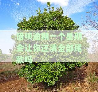 借呗逾期一个星期会让你还清全部尾款吗-借呗逾期一个星期会让你还清全部尾款吗