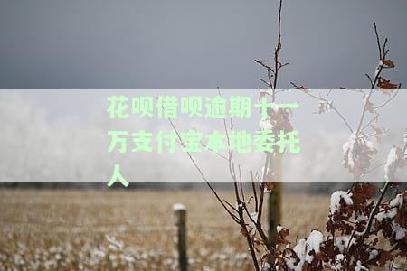 花呗借呗逾期十一万支付宝本地委托人-花呗借呗逾期当地人员找我调查 怎么办