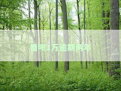 借呗1万逾期两年会怎样，借呗逾期两年：欠款1万将面临什么后果？