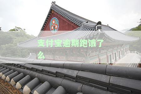 支付宝逾期可以跑饿了么外卖、买东西、送外卖，但工资可能会被扣，能否当滴滴司机取决于平台政策。