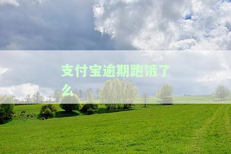支付宝逾期会影响饿了吗众包吗？能否继续在美团外卖平台接单、跑腿或担任骑手，以及对出行和工作的影响?