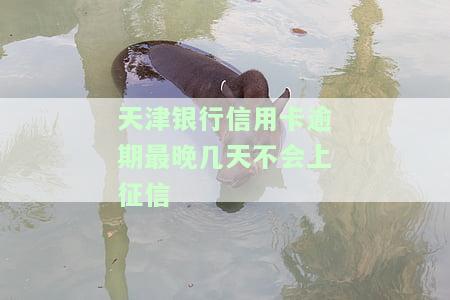 天津银行宽限期几天？还款日、时间及最新消息，逾期处理方式全解析