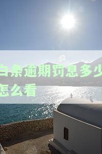 白条逾期在哪看？记录、账单、还款、情况全知道！是否已上征信？查询步骤大揭秘！
