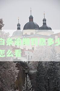 白条怎么看逾期多久了，如何查看白条的逾期情况？