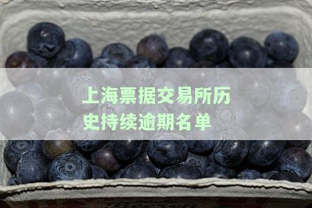 上海票据交易所会员单位名单，全面揭示金融市场新动态：上海票据交易所会员单位名单公布！