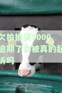 拍拍贷欠5000会上门吗，【热点】拍拍贷欠款5000元是否会上门催收？你需要知道的一切