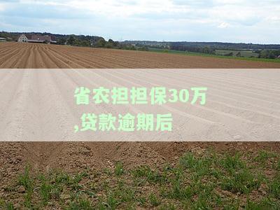 省农担担保30万贷款逾期后的处理方式及流程条件