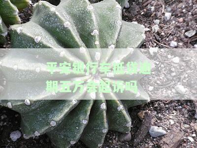 平安银行车抵贷逾期五万会起诉吗