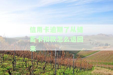 逾期还信用卡的影响及后果：利息计算、征信记录、废卡风险