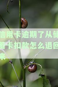 信用卡逾期了从储蓄卡扣款怎么退回来