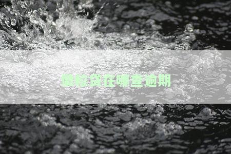 徽粒贷在哪查逾期-微粒贷 查询