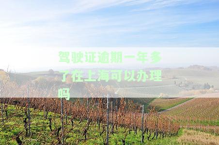 驾驶证逾期一年多了在上海可以办理吗